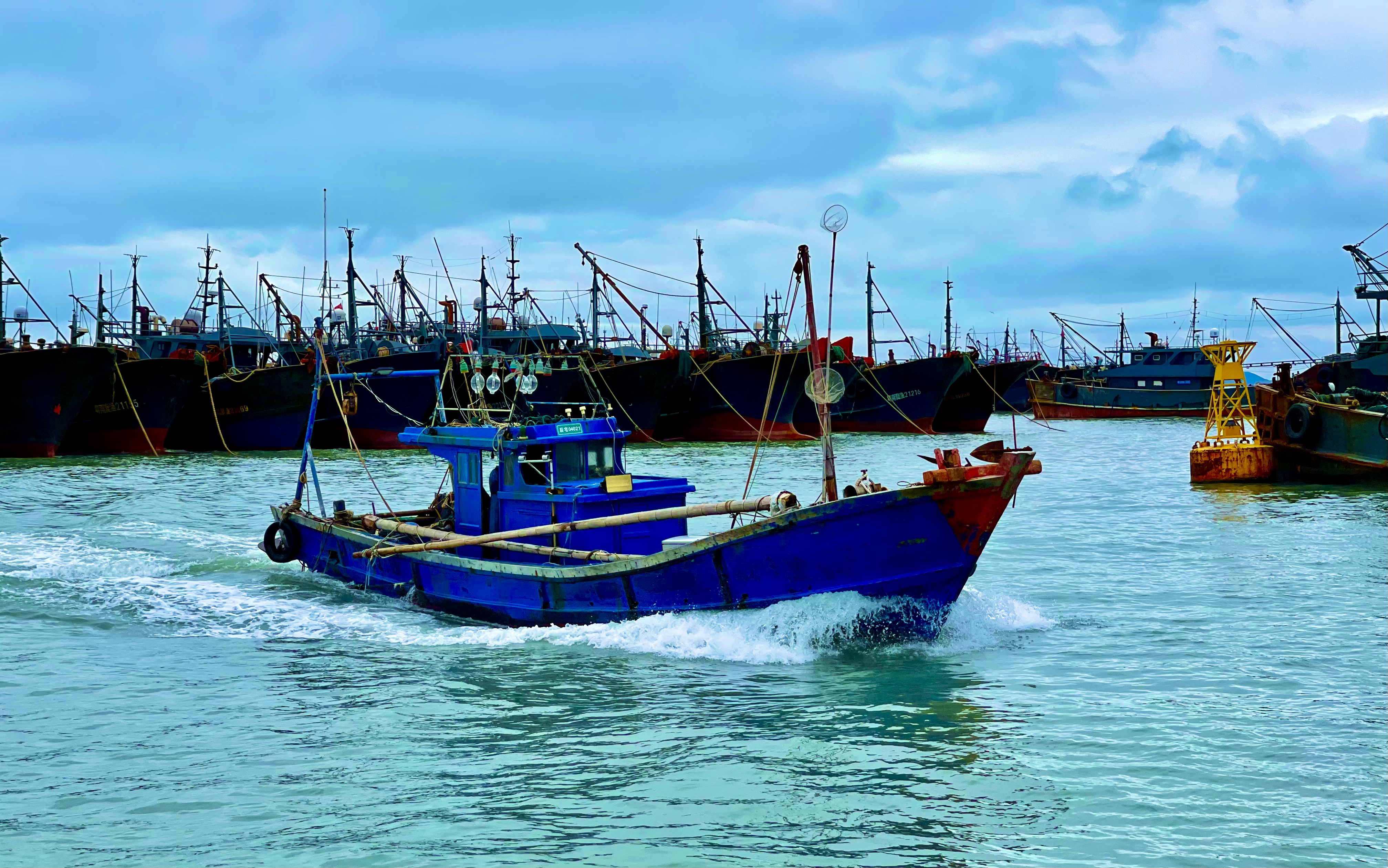 ��� �¸���.jpg